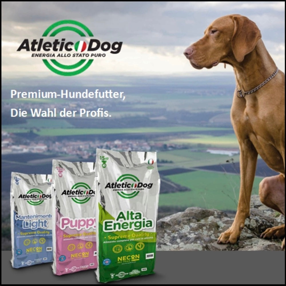 Necon Atletic Dog