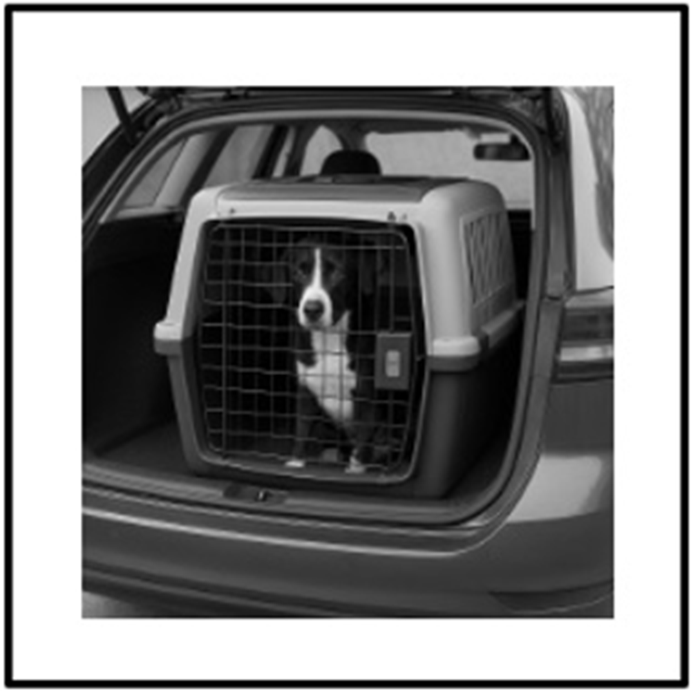 Autotransportmittel