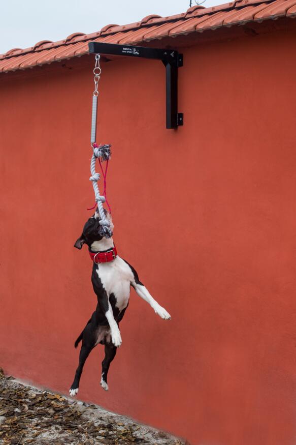 Trainingsgerät Bestia Spring Pole