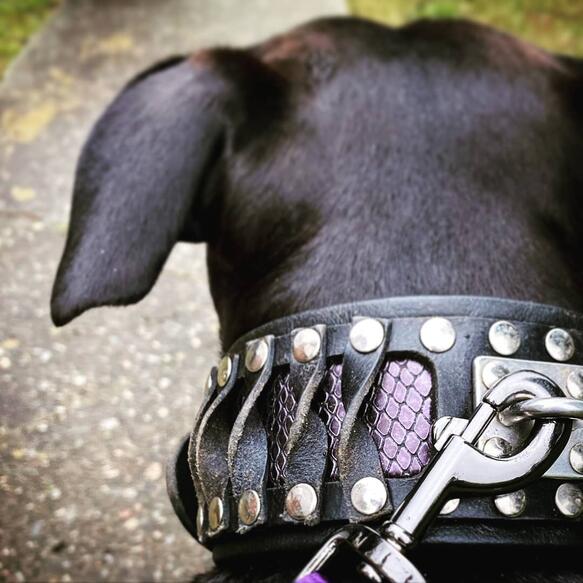 "Steampunk" Halsband