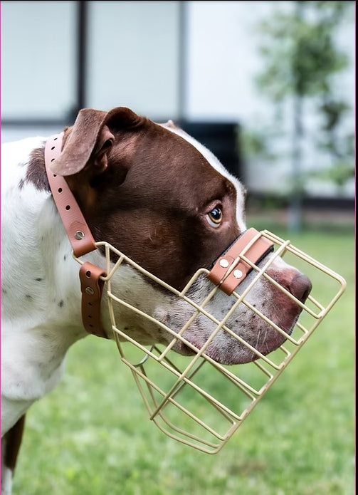 Maulkorb American Bully XL