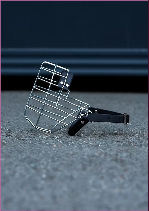 Maulkorb American Staffordshire Terrier Girl