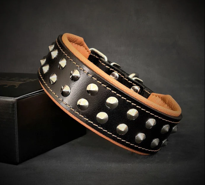 Boston Halsband