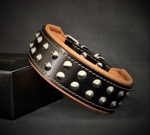 Boston Halsband