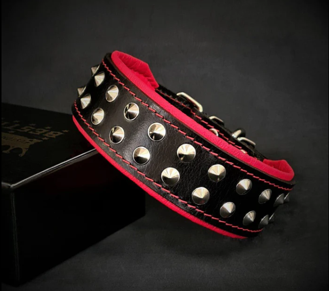 Boston Halsband