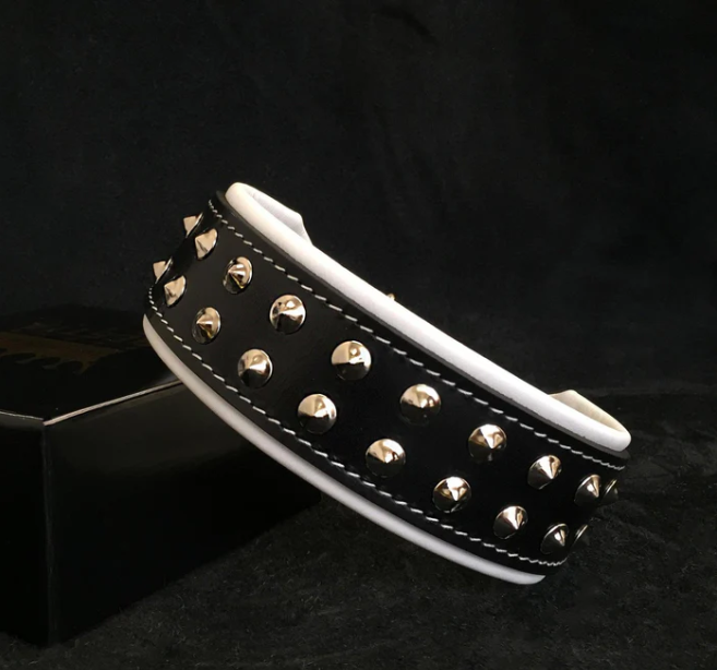 Boston Halsband