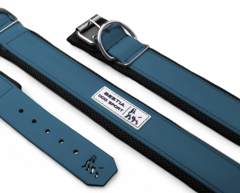 Hundesport Halsband in div. Farben
