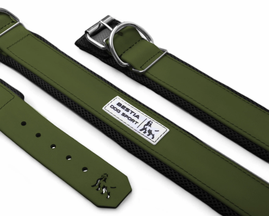 Hundesport Halsband in div. Farben