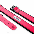 Hundesport Halsband in div. Farben