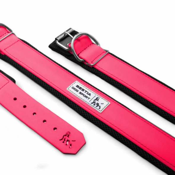 Hundesport Halsband in div. Farben