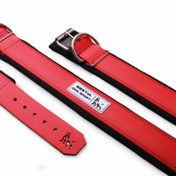 Hundesport Halsband in div. Farben
