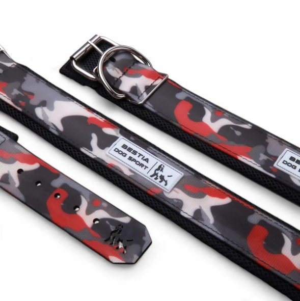 Hundesport Halsband in div. Farben
