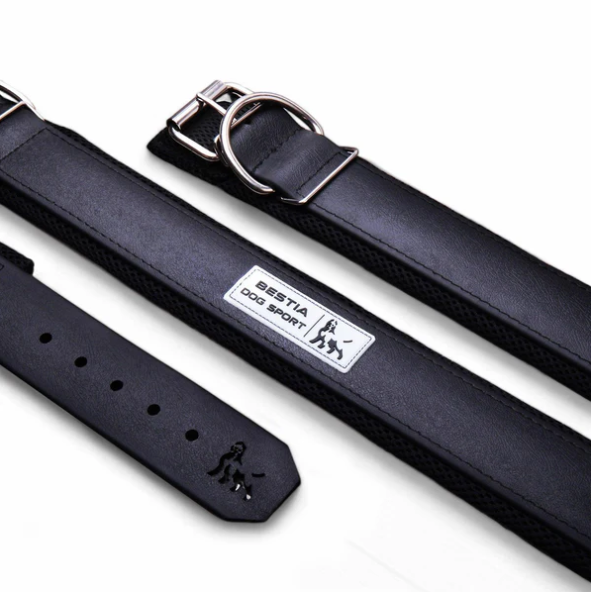 Hundesport Halsband in div. Farben