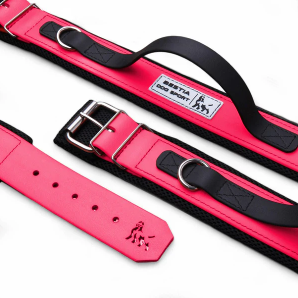 Hundesport Halsband mit Griff in div. Farben