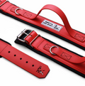 Hundesport Halsband mit Griff in div. Farben