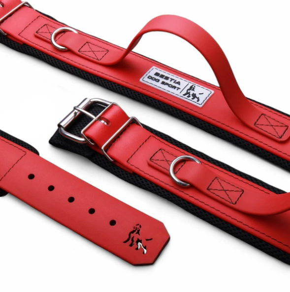 Hundesport Halsband mit Griff in div. Farben