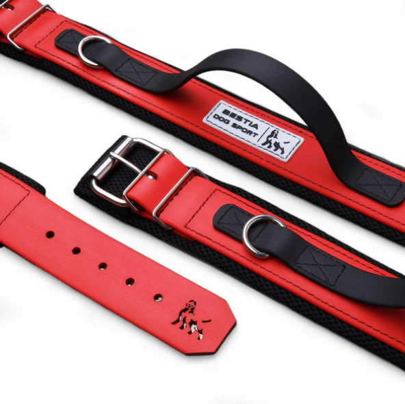 Hundesport Halsband mit Griff in div. Farben