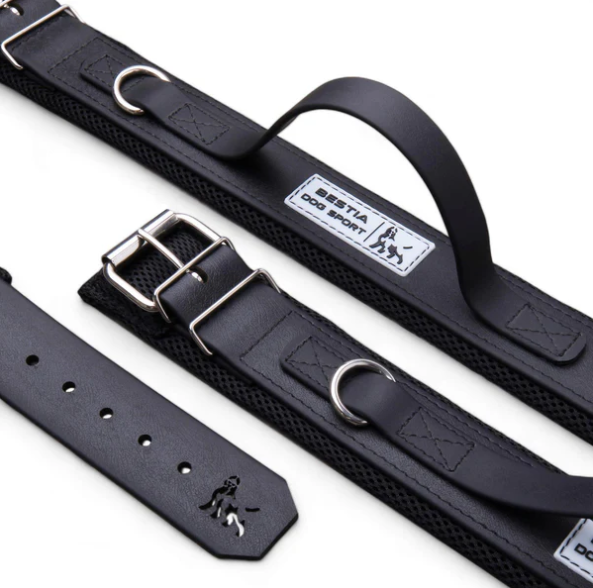 Hundesport Halsband mit Griff in div. Farben