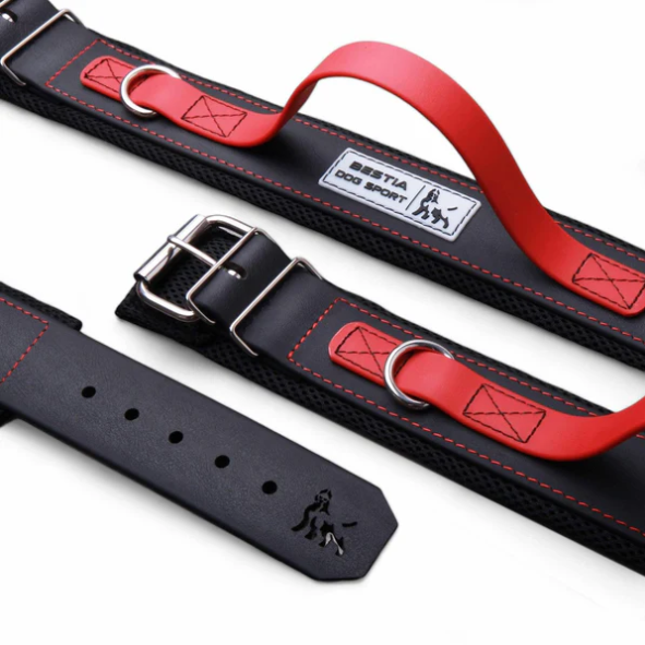 Hundesport Halsband mit Griff in div. Farben