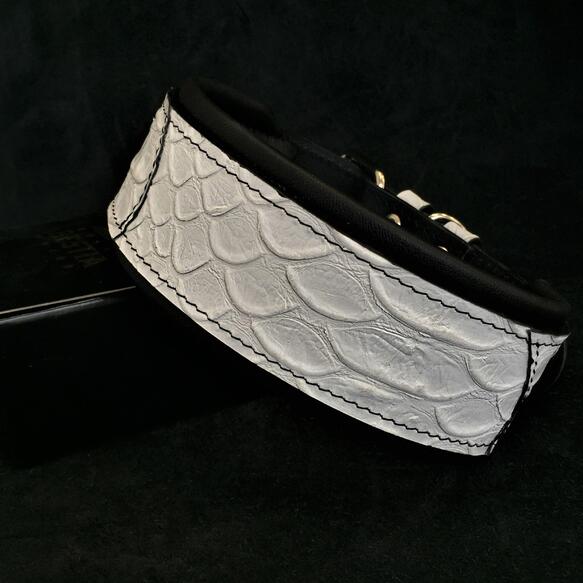 Dragon Scale Gr.L