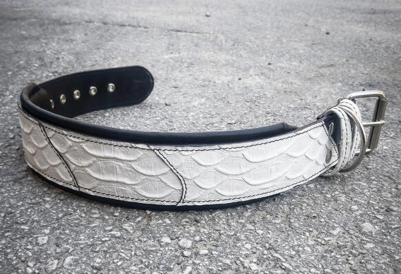 Dragon Scale Gr.L