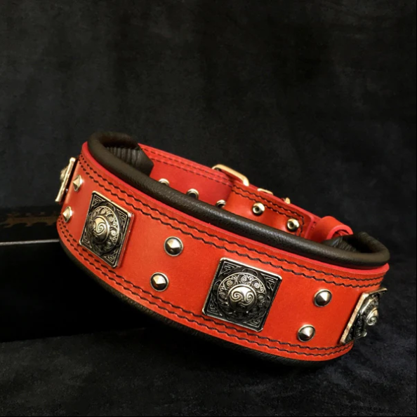 "Eros" Halsband 5cm Breit in div. Farben