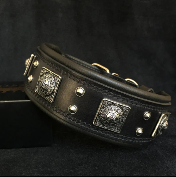 "Eros" Halsband 5cm Breit in div. Farben