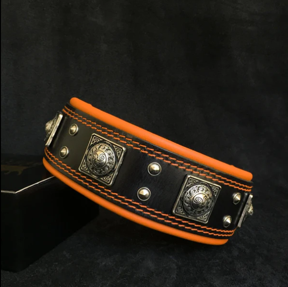 "Eros" Halsband 5cm Breit in div. Farben