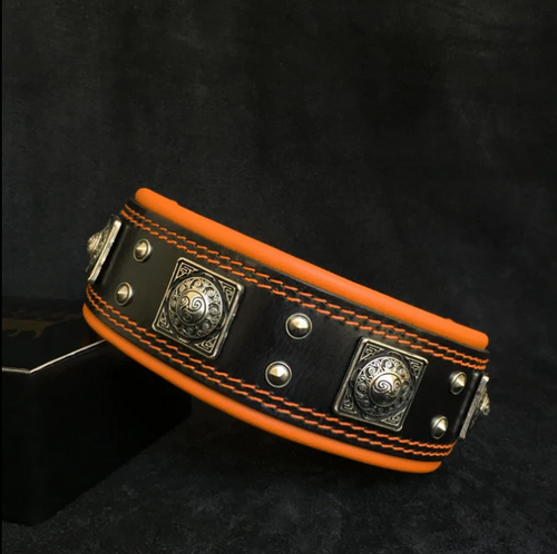 "Eros" Halsband 5cm Breit in div. Farben