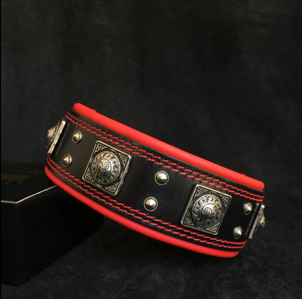 "Eros" Halsband 5cm Breit in div. Farben