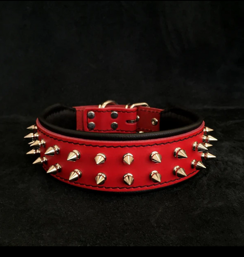 "Frenchie" Halsband in div. Farben