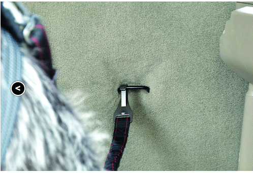KONG Cargo Swivel Tether