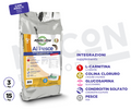 Necon Atletic Dog mit Fisch Mantenimento