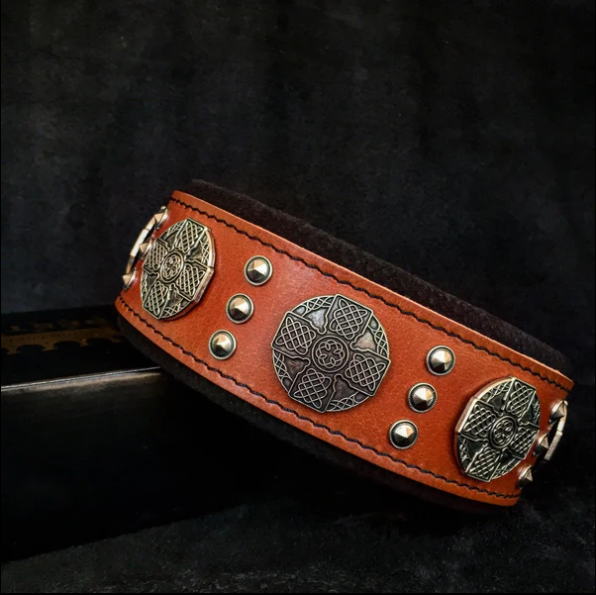 "Maximus" Halsband 5cm Breit in div. Farben