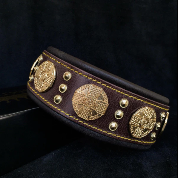 "Maximus" Halsband 5cm Breit in div. Farben