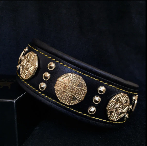 "Maximus" Halsband 5cm Breit in div. Farben