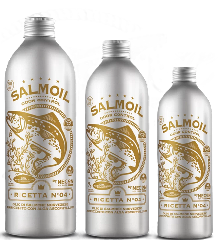 Necon Salmoil Ricetta 4