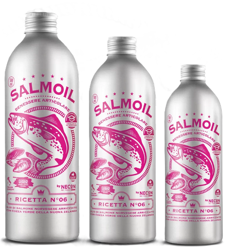 Necon Salmoil Ricetta 6