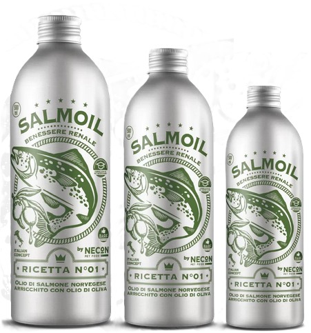 Necon Salmoil Ricetta 1