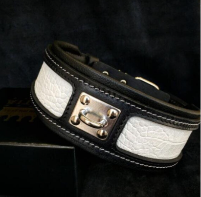 "Reptilien" Halsband in div. Farben