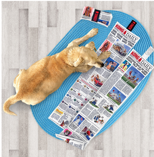 KONG Daily Newspaper XL