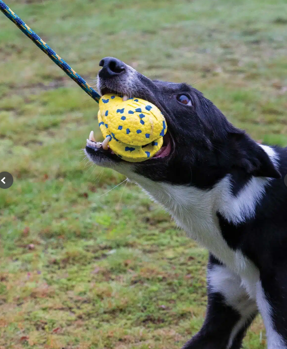 Nitro Schleuderball