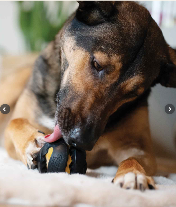 Zeus ChewChasers Ball