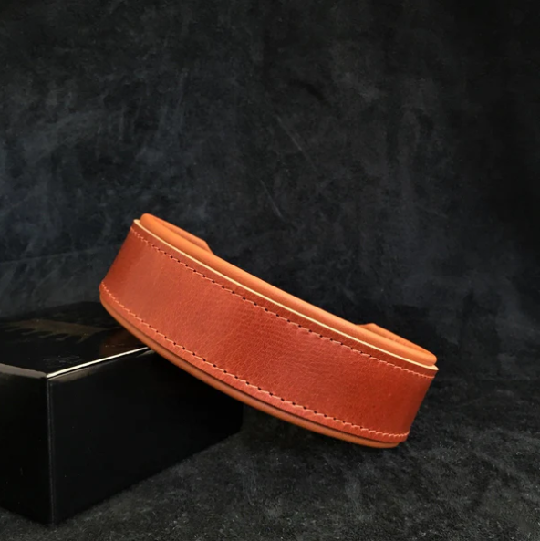 "Stylish" Halsband in div. Farben