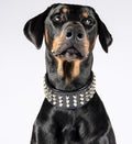 Stud Halsb.Black Gr.XL