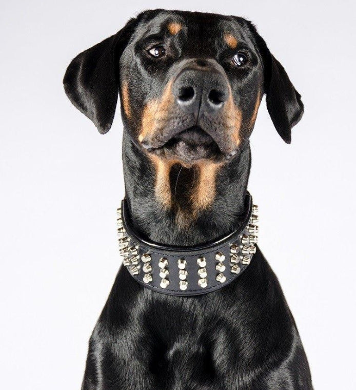 Stud Halsb.Black Gr.XL
