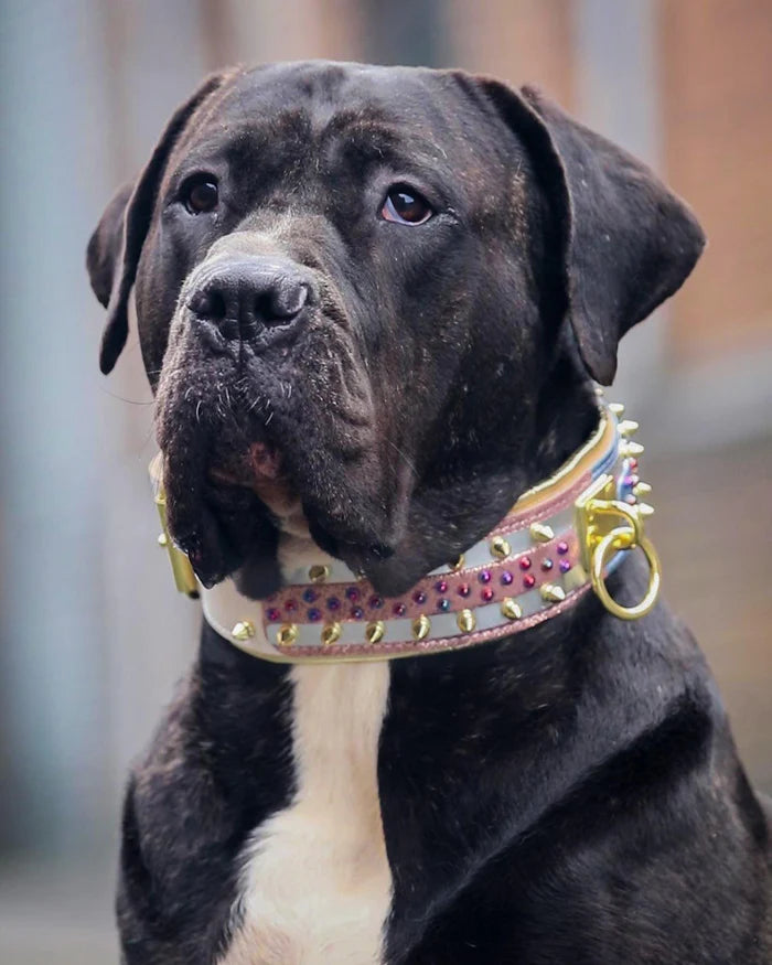 "Candy" Halsband in div. Farben