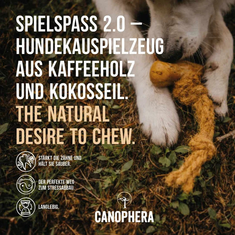 Hundekauspielzeug aus Kaffeeholz und Kokosseil.