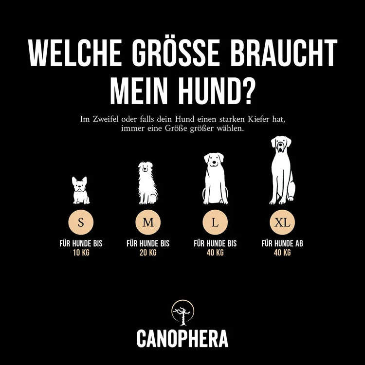 Hundekauspielzeug aus Kaffeeholz und Kokosseil.