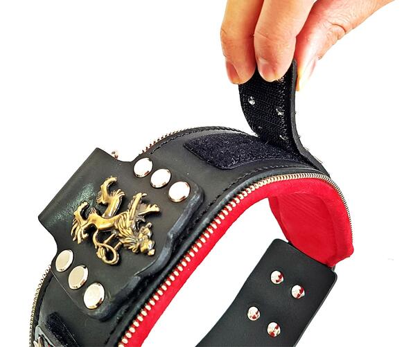 "General" Halsband